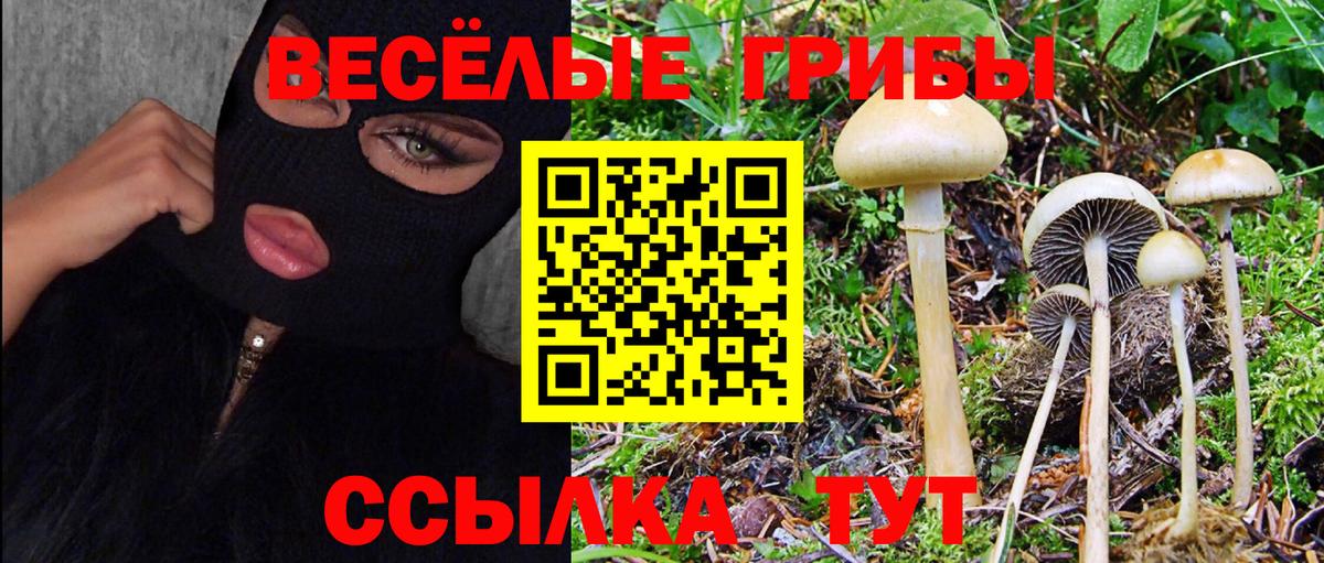 Галлюциногенные грибы ЛСД Кандалакша
