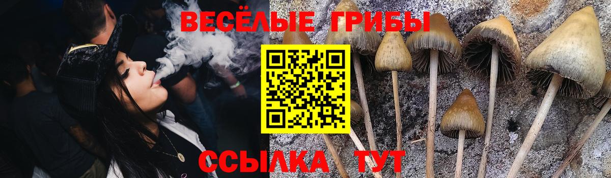 Кандалакша  Псилоцибиновые грибы мухоморы  где можно купить наркотик  Вход с VPN  Галлюциногенные грибы мухоморы 
